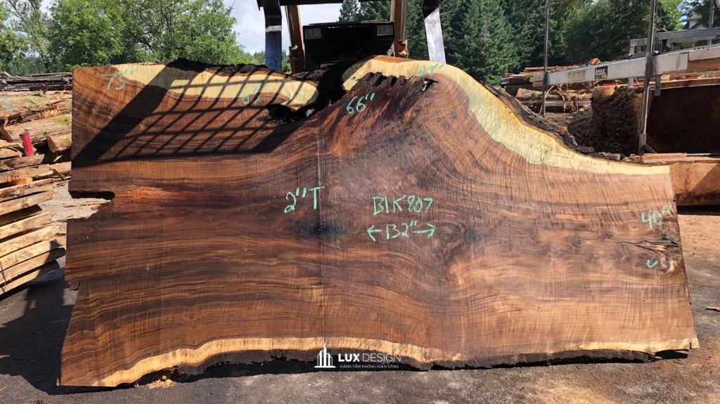 gỗ óc chó walnut