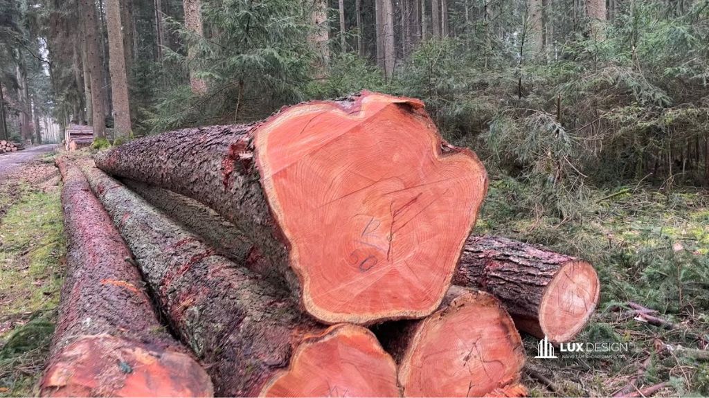 gỗ thông đỏ