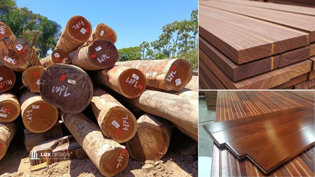 gỗ căm xe có tốt không