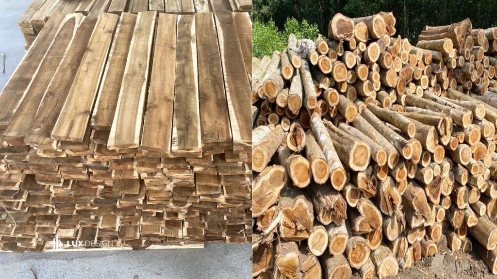 gỗ tràm có tốt không