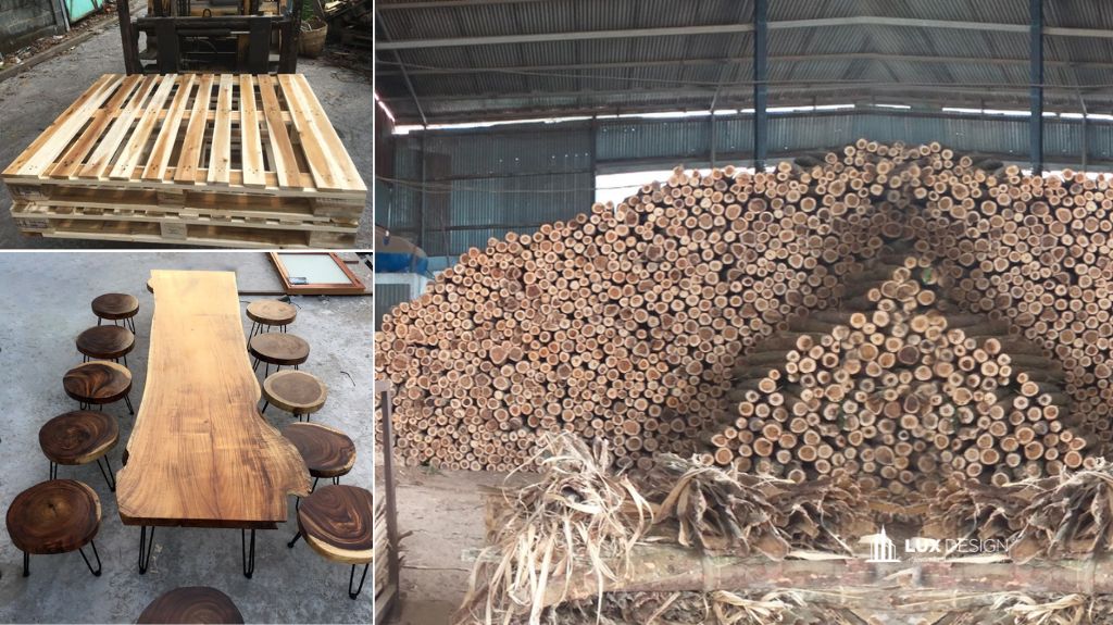 gỗ tràm có tốt không