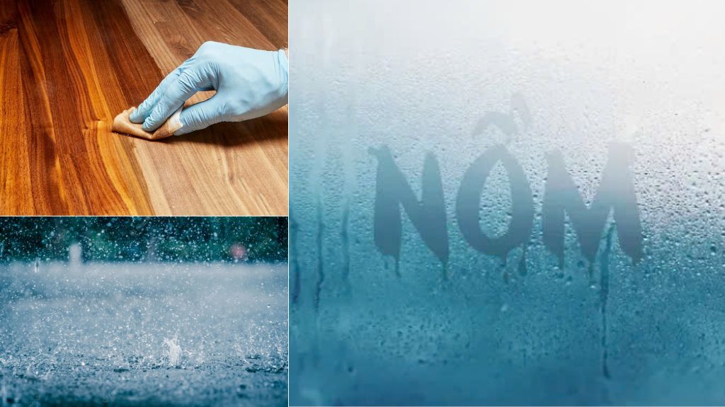 chống nồm ẩm đồ gỗ nội thất
